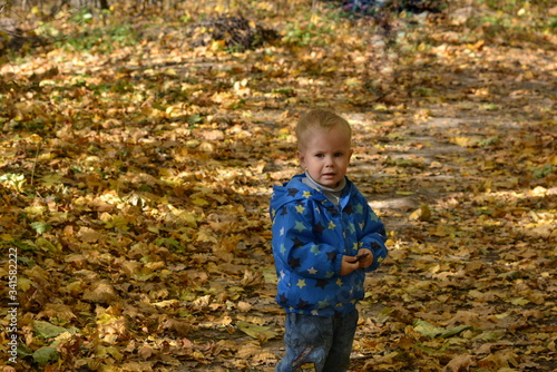 A small cute child in a blue jacket in the autumn forest on a Sunny day.
