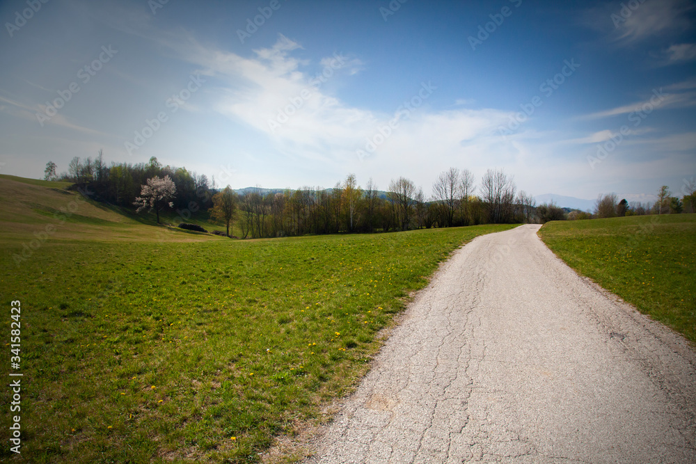 Road on Meadow Landscape