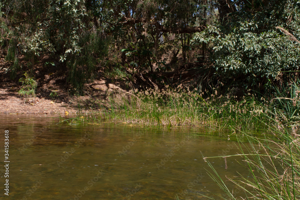 Translucent river flowing out in the outback Translucent river flowing out in the outback