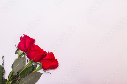 Three red roses on white background with copy space top view. Flat lay concept.