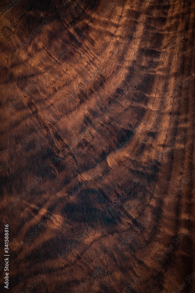 Fototapeta premium Walnut natural texture, texture elements, texture background. wood texture background.