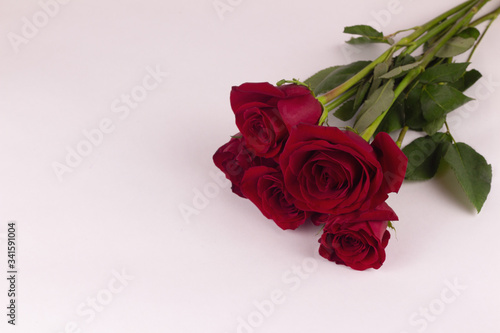 red roses lie on a white background. Copy space  place for inscription.