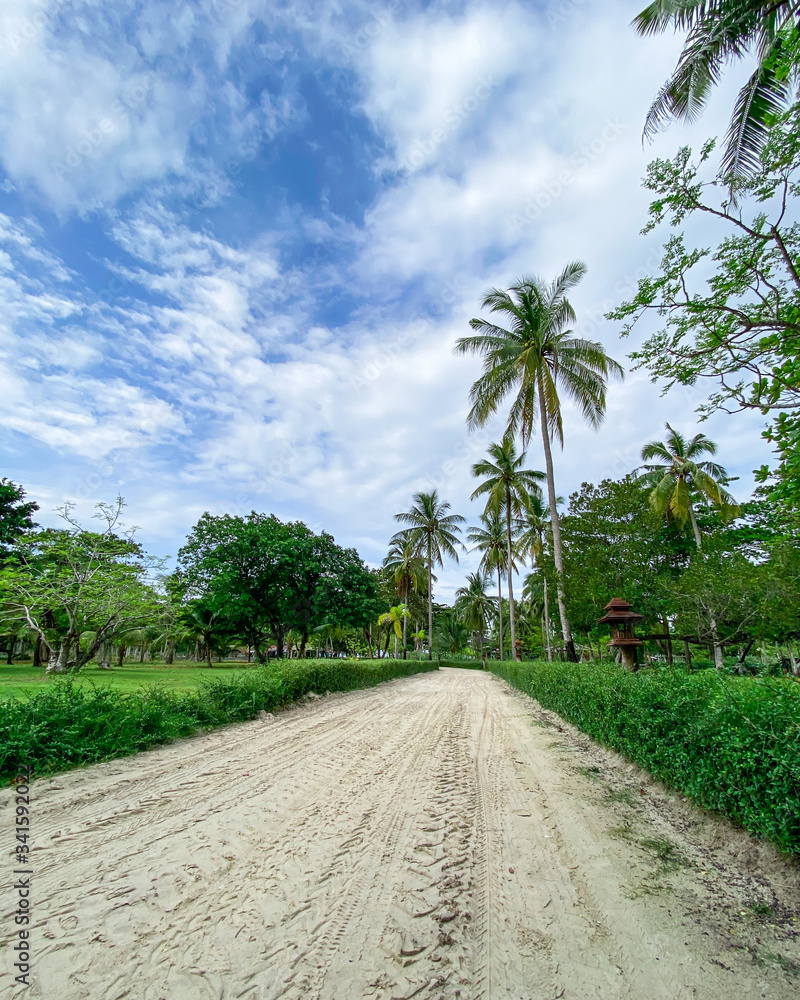 Sandy road among palm trees to the beach on Racha Yai island in Thailand. Desert path on a tropical island in the jungle, landscape, concept of independent travel around the world