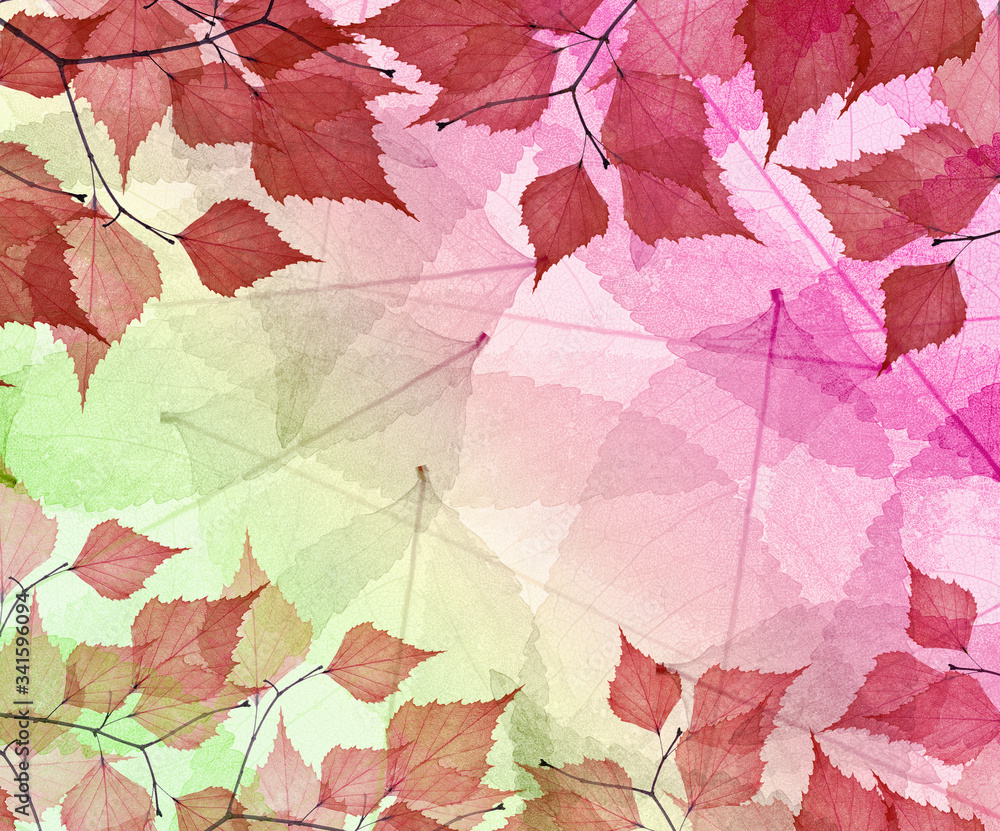 red leaves on green and pink background red leaves on green and pink background