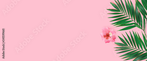 Green plants with flowers summer concept template for your text or design on pink paper background