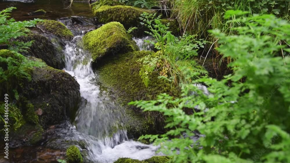 Mossy Rocks A Small Waterfall With Green Leaf In The Foreground Mossy Rocks A Small Waterfall With Green Leaf In The Foreground