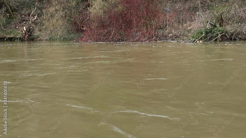 Dirty brown water flowing down a river during a flood Dirty brown water flowing down a river during a flood