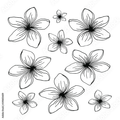 Vector set with flowers. Print, textile. Packaging. Wallpaper. Background