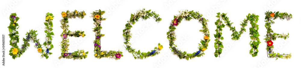 Flower, Branches And Blossom Letter Building English Word Welcome. White Isolated Background Flower, Branches And Blossom Letter Building English Word Welcome. White Isolated Background
