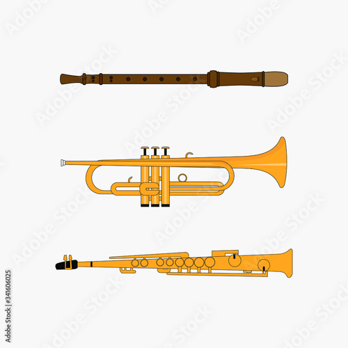 blown musical instrument
