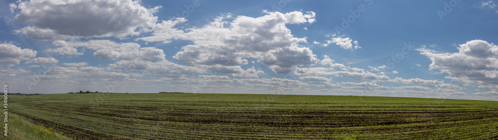 Russian steppe. Orenburg region, Russia.