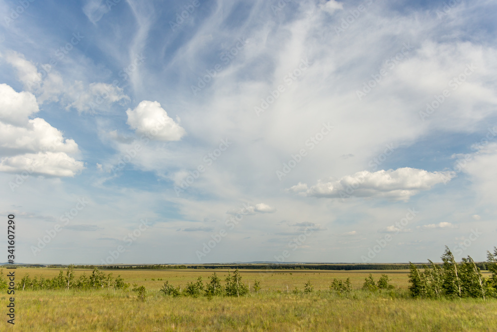 Russian steppe. Orenburg region, Russia.