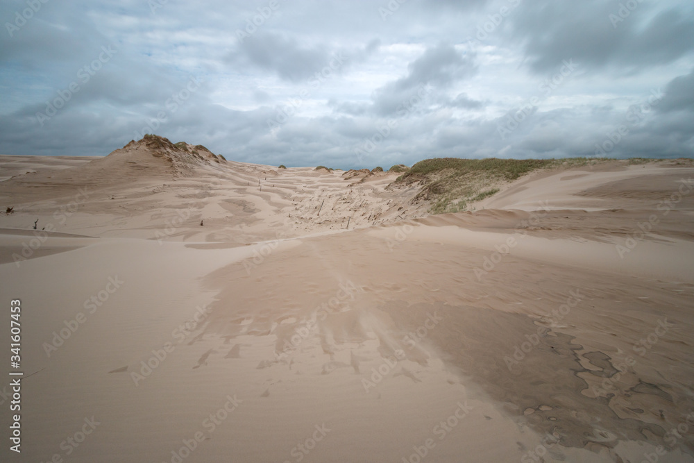 desert dune landscape