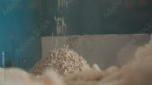 Empty corn cobs are being dumped at a factory, forming a little mountain of maize corn waste, which can be used to create biomass fuel for sustainable production. photo