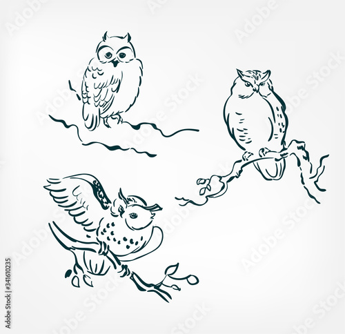 owl set vector illustration japanese chinese ink line sketch style