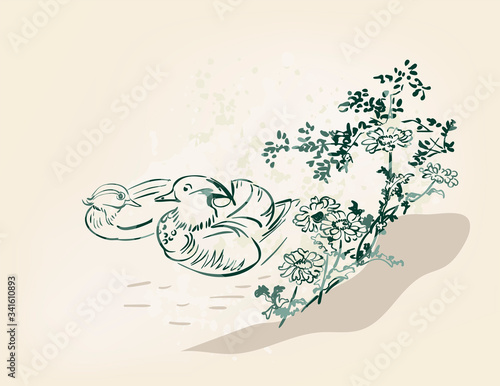 mandarin duck vector card japanese chinese nature ink illustration engraved sketch traditional textured