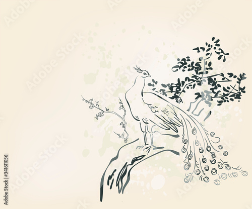 peacock vector card japanese chinese nature ink illustration engraved sketch traditional textured