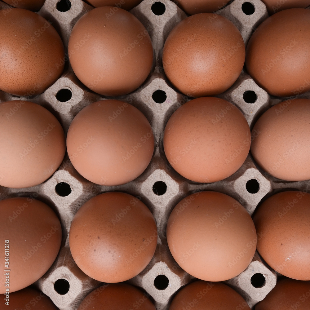 fresh organic egg in paper panel of consume industry fresh organic egg in paper panel of consume industry
