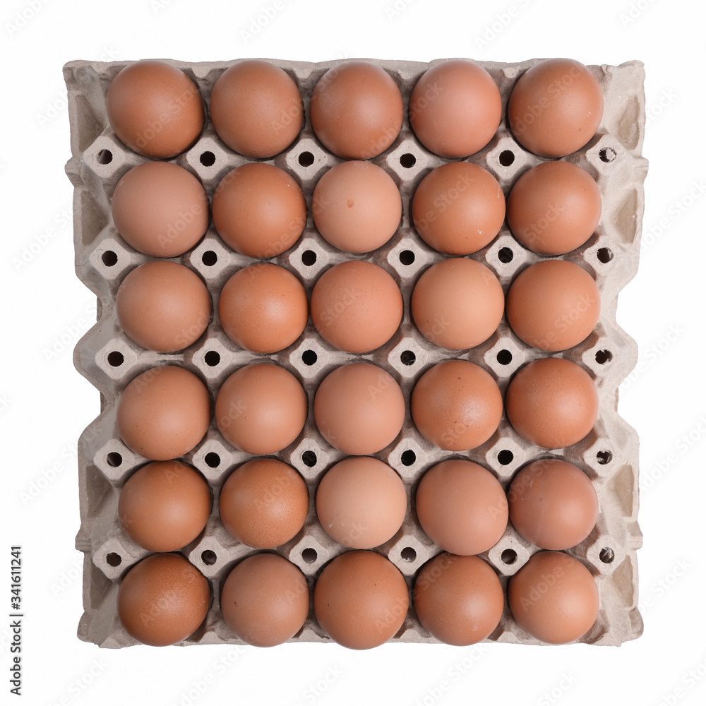 fresh organic egg in paper panel isolated on white background fresh organic egg in paper panel isolated on white background