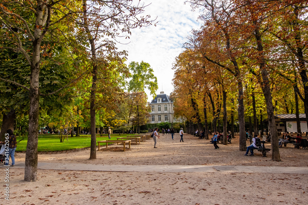 Le Jardin du Luxembourg in Paris, France - obrazy, fototapety, plakaty 