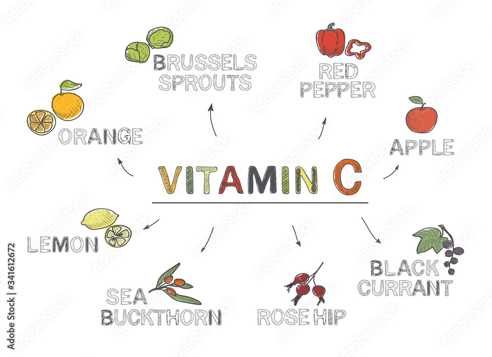 Vitamin C, infographics. Foods rich in vitamin C. natural products, fruits, vegetables on white background. Healthy lifestyle concept
