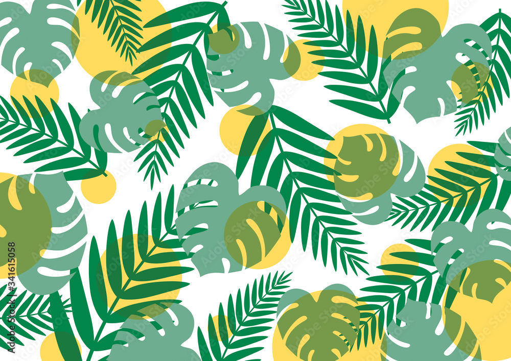 Naklejka premium モンステラ ヤシの葉 背景