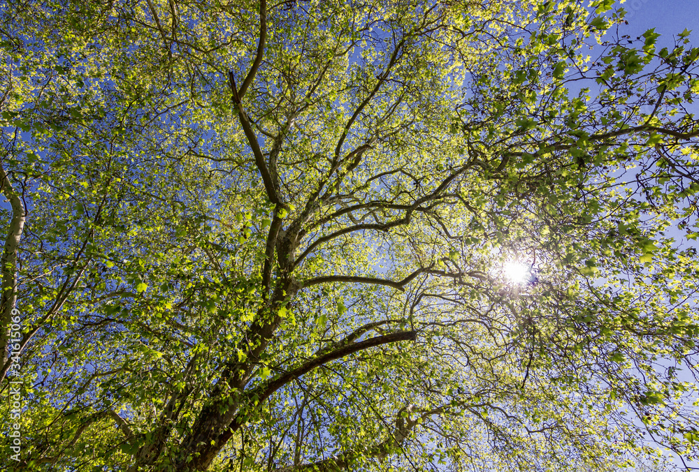Cheverny castle and gardens in Loire valley (France)