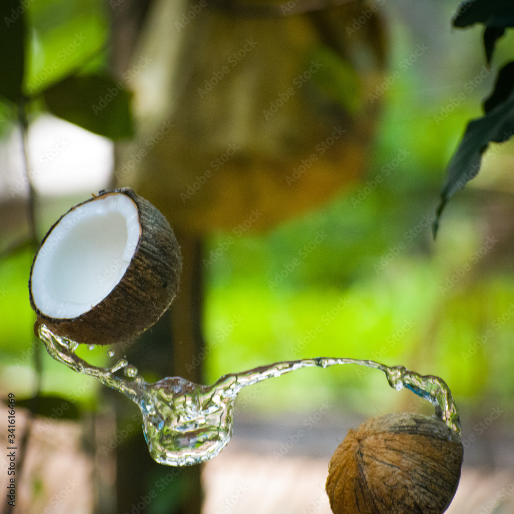 coconut water splash 