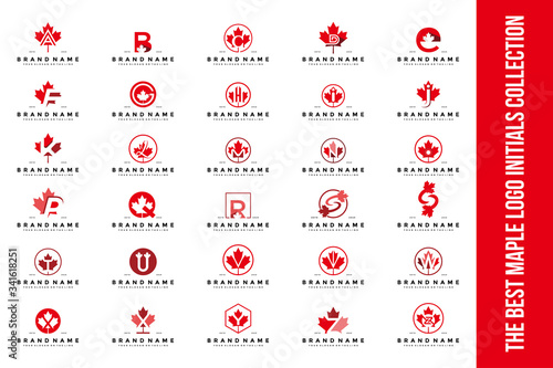 set letter maple logo design vector 