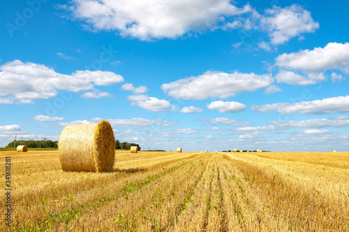 bright yellow bales of hay on a farm field