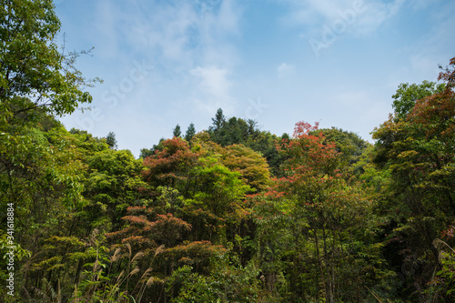 Fresh and comfortable suburban natural environment