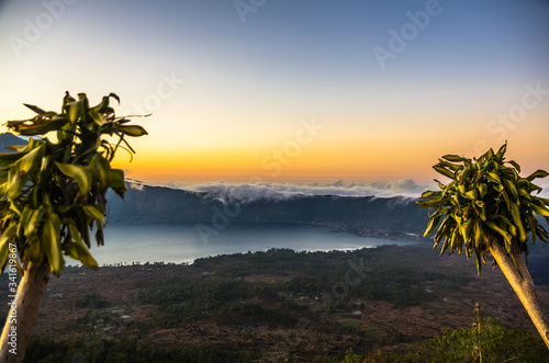 Two palm trees on the top of Batur volcano  Bali