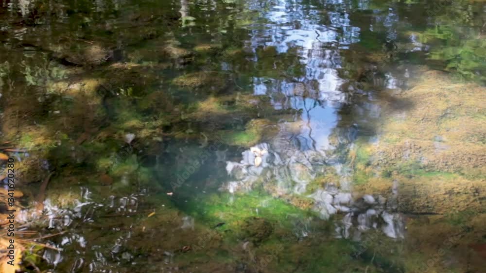 Water running down stream with leaves Water running down stream with leaves
