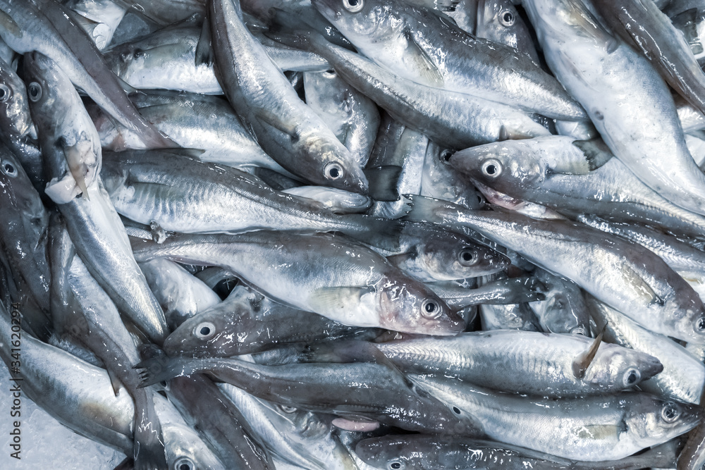 Hake sea fish in a crate, at a fishing market. Selling fresh food. Seafood, delicacy. Gourmet cuisine. Hake sea fish in a crate, at a fishing market. Selling fresh food. Seafood, delicacy. Gourmet cuisine.