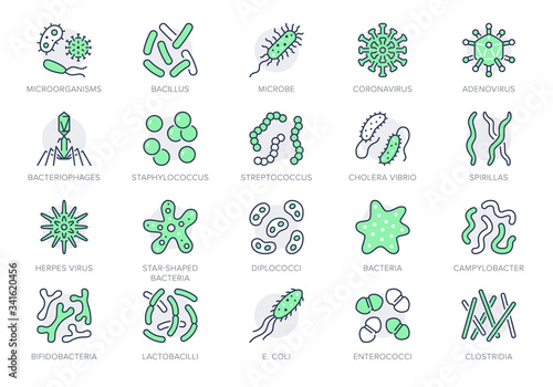 Bacteria, virus, microbe line icons. Vector illustration included icon as microorganism, germ, mold, cell, probiotic outline pictogram for microbiology infographic Green Color, Editable Stroke photo