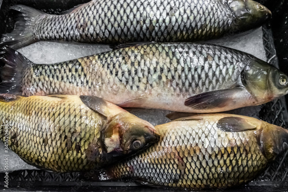 Sea fish flounder, in a box, at the fish market. Sale of fresh produce. Seafood, delicacy. Gourmet cuisine. Black Sea. Sea fish flounder, in a box, at the fish market. Sale of fresh produce. Seafood, delicacy. Gourmet cuisine. Black Sea.