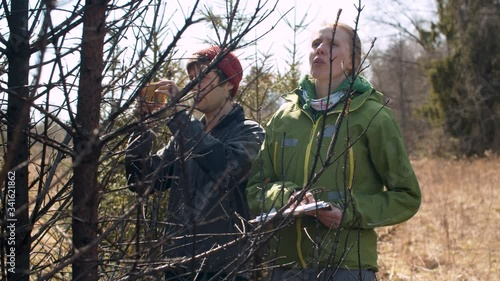 Eco volunteers on the place of extinct forest fire. They examine burnt spruce trees, take pictures and make notes. Activists scout fire places in the forest. Forest Fire Prevention.
