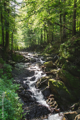 Fototapeta Naklejka Na Ścianę i Meble -  górski wodospad w lesie podczas słonecznej pogody