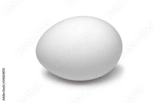 Single fresh white chicken egg close up