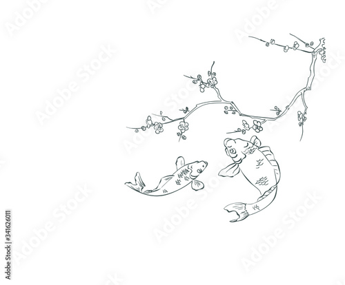 fish koi carp flowers card nature landscape view vector sketch illustration japanese chinese oriental line art design