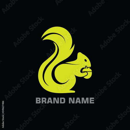 Squirrel Modern Gradient and stylish simple logo template design