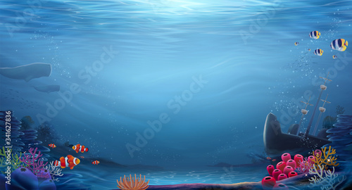 Natural ocean bottom background