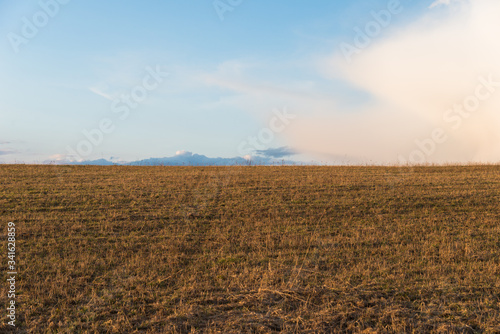 View of field in early spring  Moscow Region  Russia