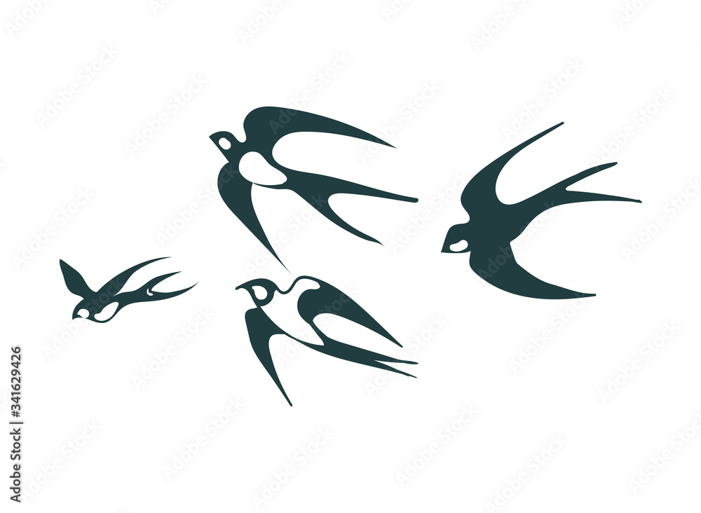 Fototapeta premium swallow card nature landscape view vector sketch illustration japanese chinese oriental line art design elements