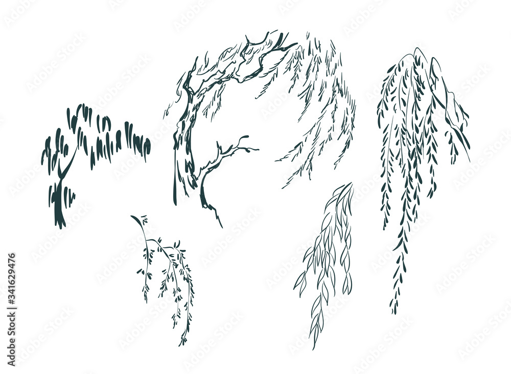willow tree card nature landscape view vector sketch illustration japanese chinese oriental line art design elements - obrazy, fototapety, plakaty 