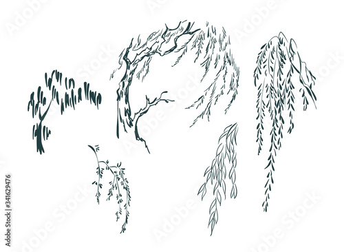 willow tree card nature landscape view vector sketch illustration japanese chinese oriental line art design elements