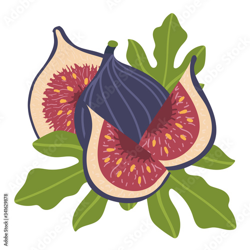 Whole figs with half and leaf isolated on white background. Vector illustration of fruits in a flat style. Natural sweets. Healthy food set.