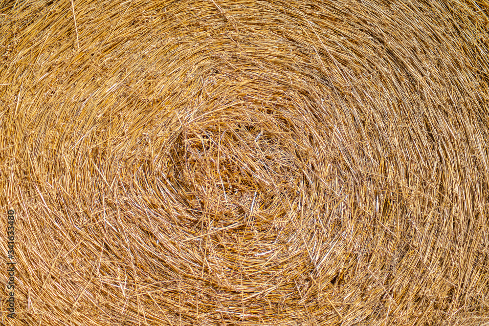 the texture of rolled straw is yellow the texture of rolled straw is yellow