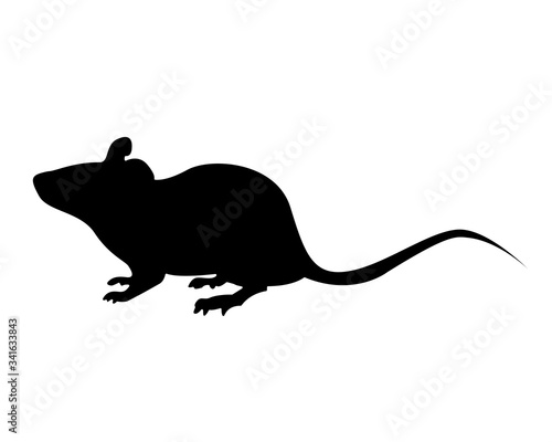 Rat pictogram silhouette vector