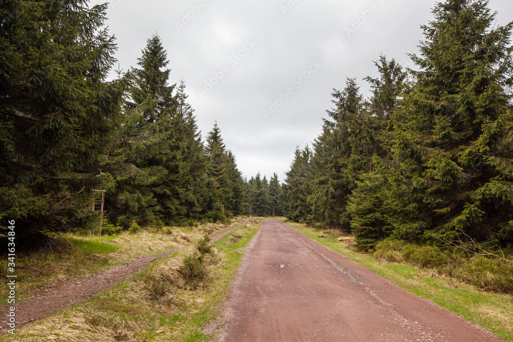 Obraz premium Thuringian Forest